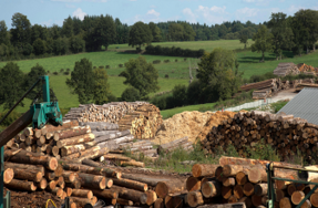 Développement de la filière forêt-bois: appel à manifestation d'intérêt (AMI)