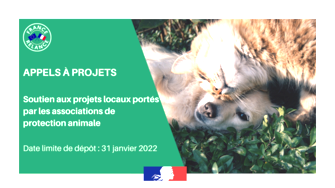 Soutien aux projets locaux portés par les associations de protection animale