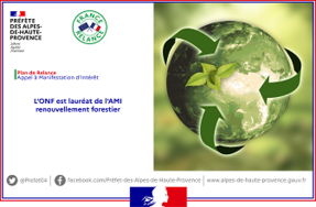 L’ONF est lauréat de l'Appel à Manifestation d'Intérêt (ami) : renouvellement forestier