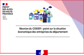 Réunion du CODEFI- Point sur la situation économique des entreprises du département